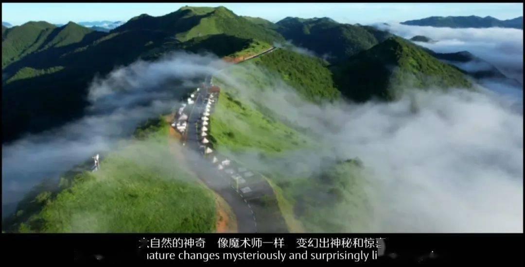 正当防卫